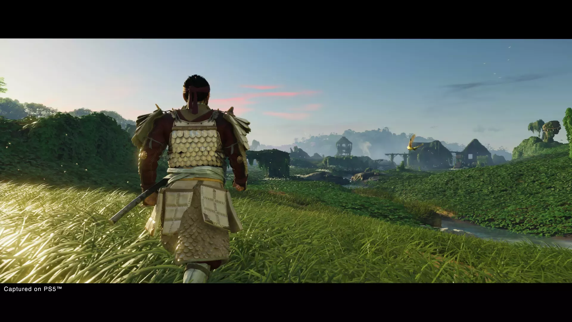 Ghost Of Tsushima DC 12