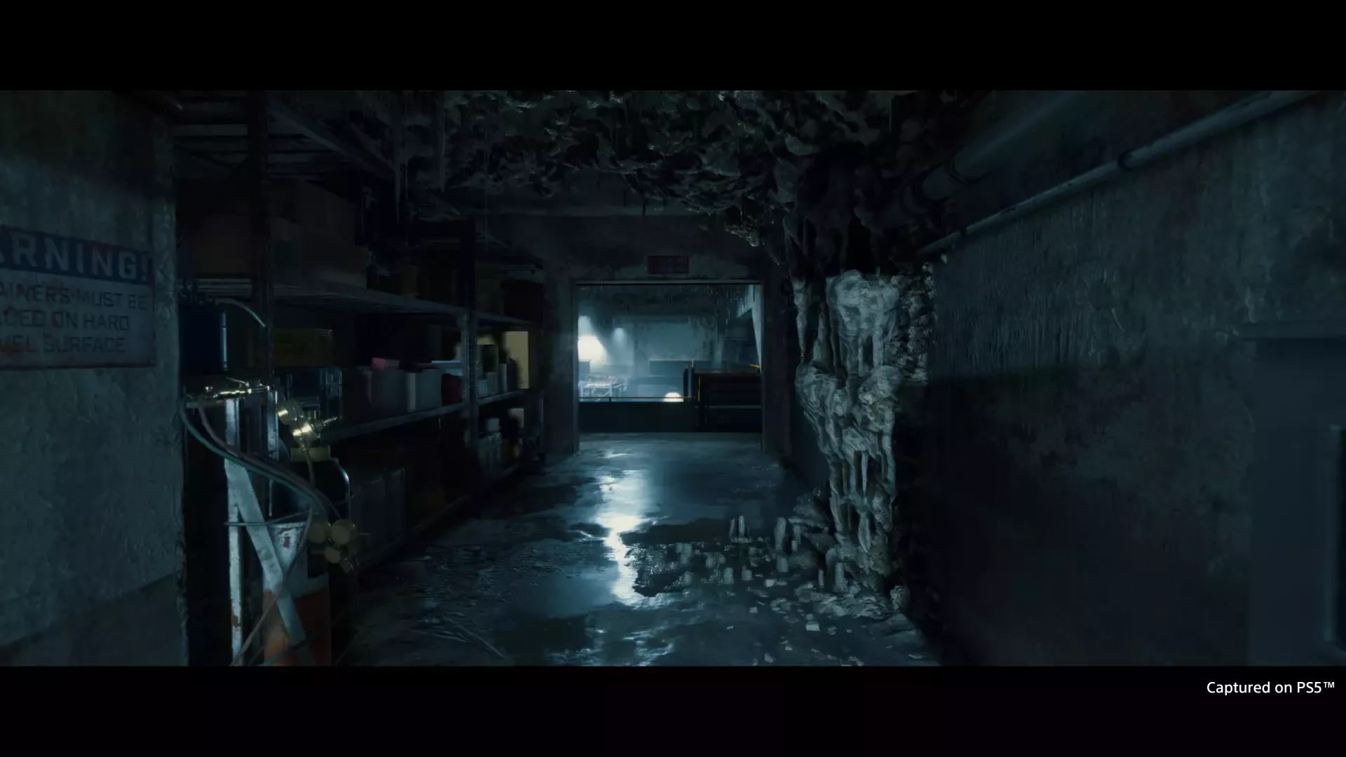 Death Stranding Directors Cut 07