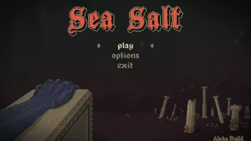 sea salt 02