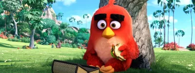 angry birds 01