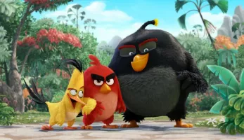 angry birds 07