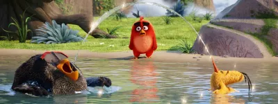 angry birds 14